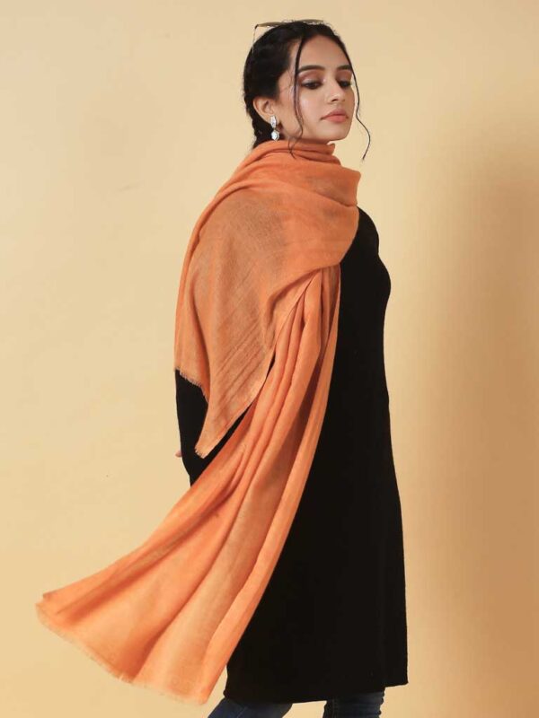 Virgin Cashmere Solid Scarf