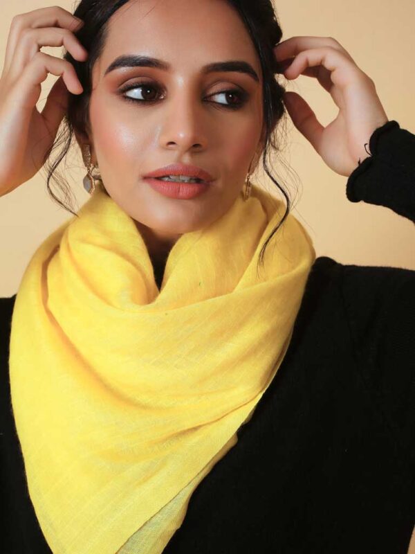 Virgin Cashmere Solid Scarf
