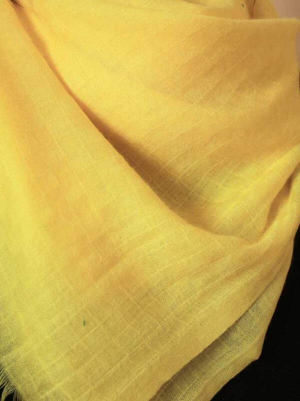 Virgin Cashmere Solid Scarf