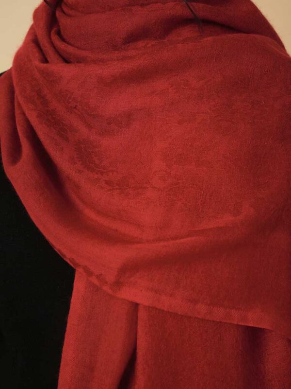 Virgin Cashmere Solid Scarf