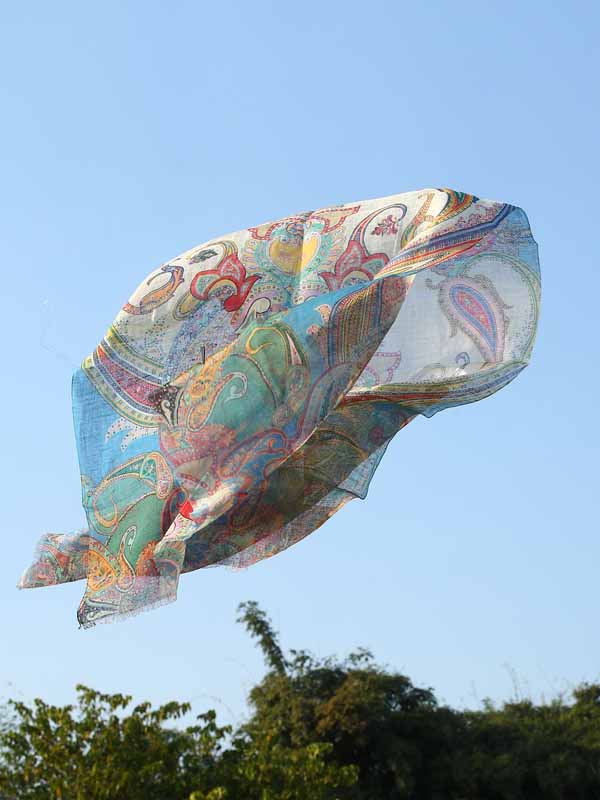 Paisley Print Linen Scarf