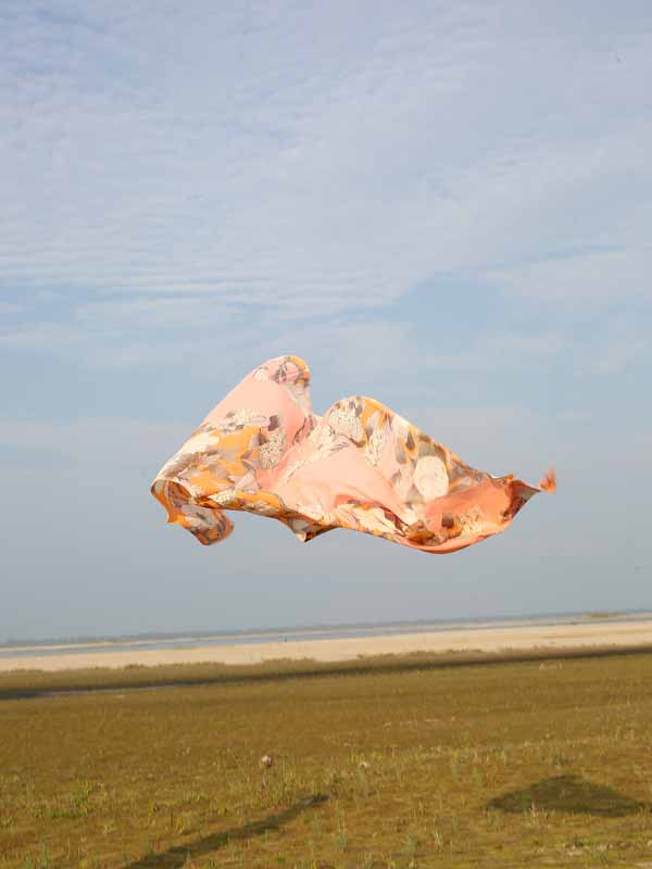 Interflora Print Cotton Scarf