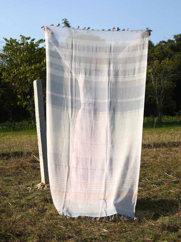 Stripes & Tassels Cotton Scarf